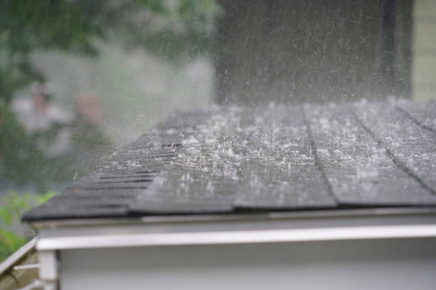 Best Rubber Roofing (EPDM, TPO)  in Dale City, VA